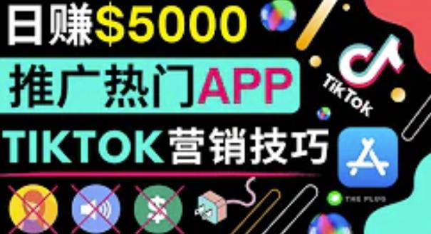 无需露脸，无需录音，无需投资，轻松上传短视频，利用TIKTOKzuan钱，最高日入5000美元