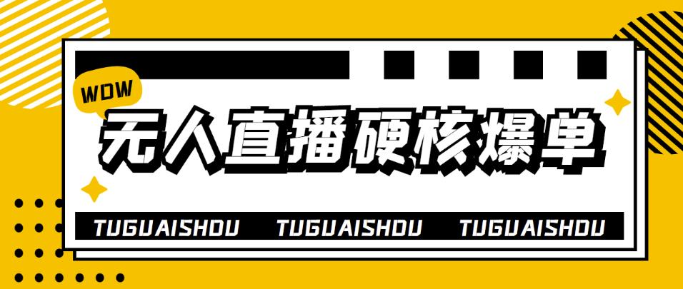 大飞无人直播硬核爆单技术，轻松玩转无人直播，暴利躺zuan