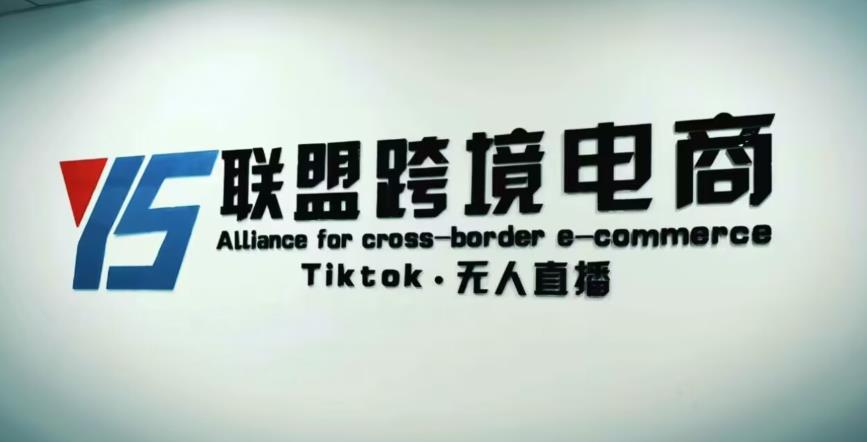 YS联盟·Tiktok无人直播，不出镜不剪辑不拍摄不发货无售后的跨境短视频躺zuan玩法