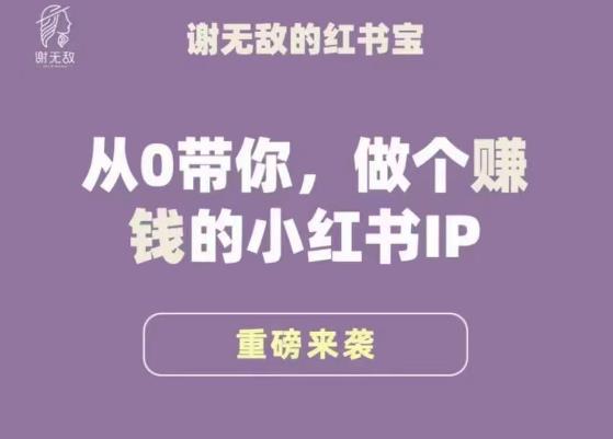 谢无敌·小红书运营大宝典，从0带你做个zuan钱的小红书IP