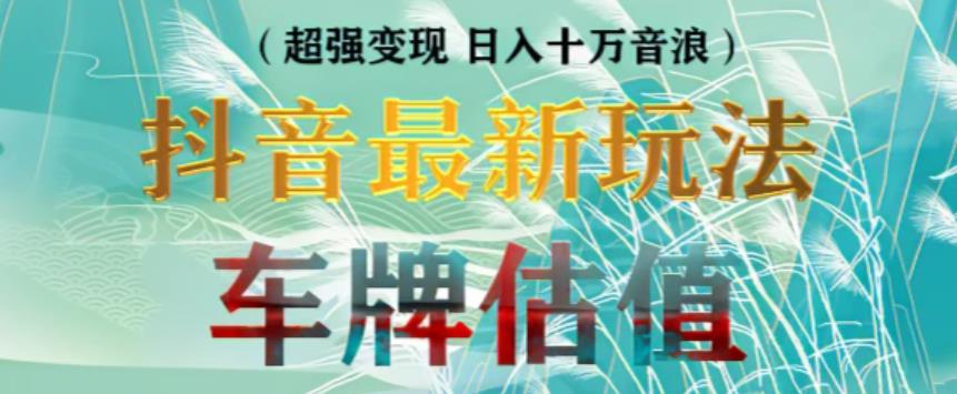 抖音最新无人直播变现直播车牌估值玩法项目，轻松日zuan几百+【详细玩法教程】