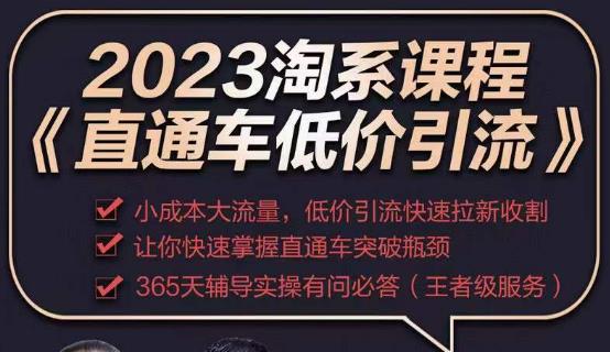 2023直通车低价引流玩法课程，小成本大流量，低价引流快速拉新收割