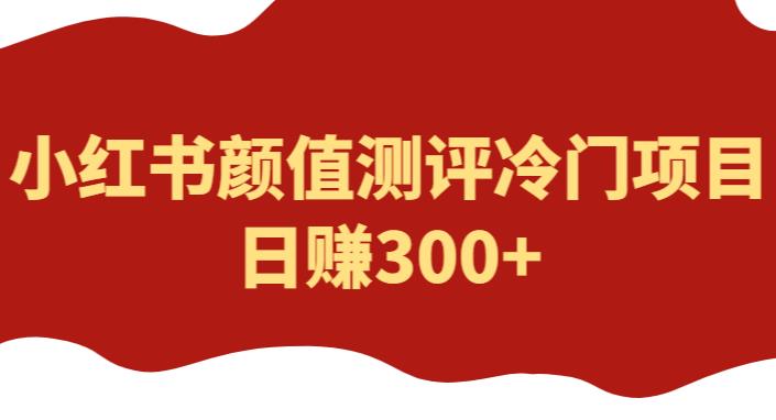 外面1980的项目，小红书颜值测评冷门项目，日zuan300+【揭秘】