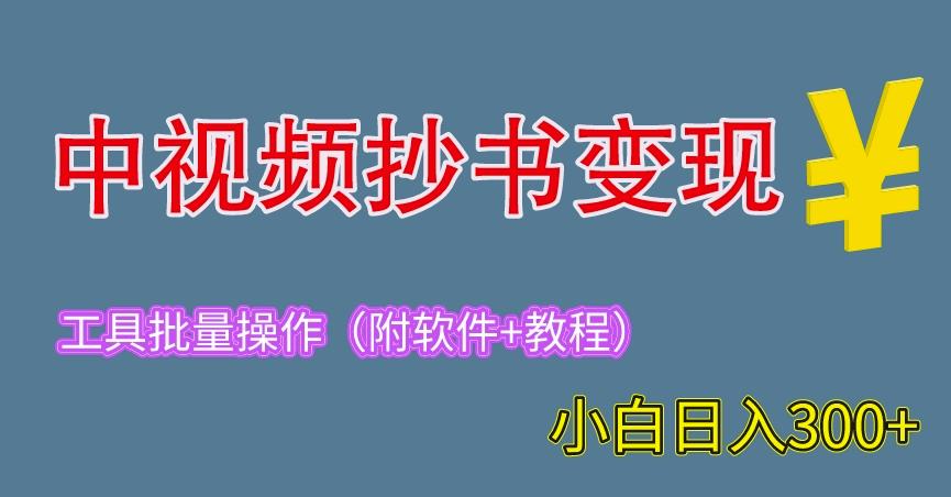 2023中视频抄书变现（附工具+教程），一天300+，特别适合新手操作的副.业.（揭秘）