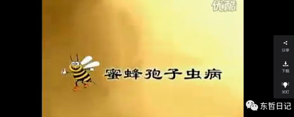 东哲日记：全网首创实物虚拟电商项目，速来捡钱，成本低，一单zuan几十块！