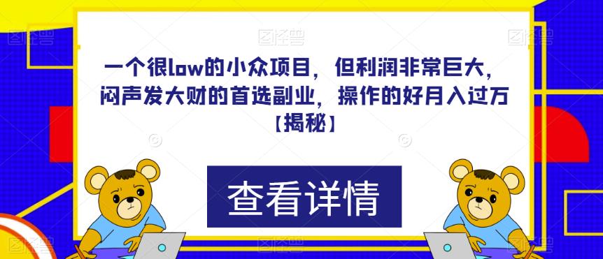 一个很low的小众项目，但利润非常巨大，闷声发大财的首选副.业.，操作的好月入过万【揭秘】