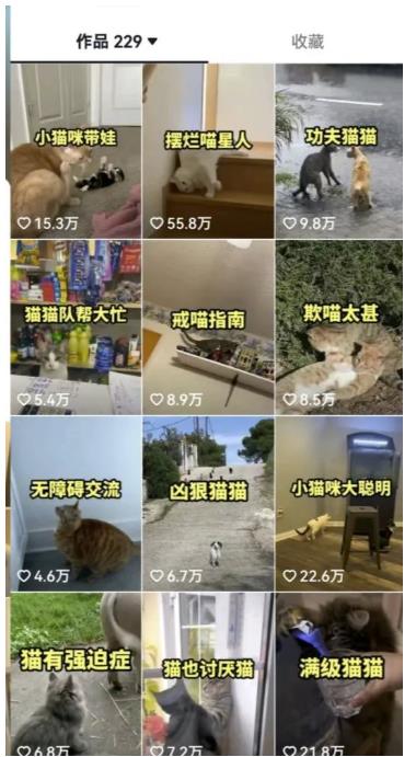 拆解抖音盘点类中视频变现副.业.项目，视频版一条龙大解析分享给你【视频课程】