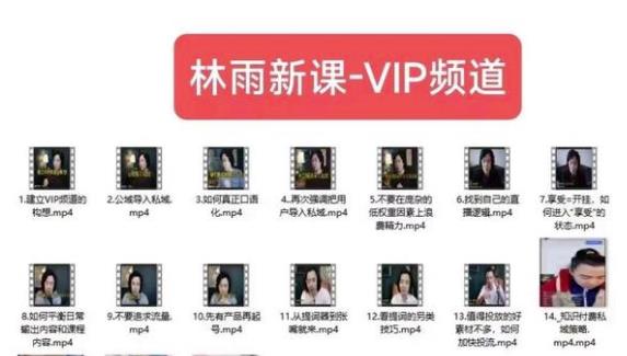 林雨新课VIP频道，玩zuan私域/朋友圈/社群