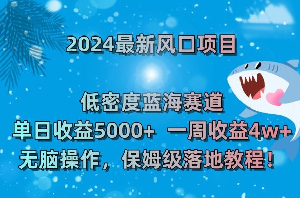 2024最新风口项目，低密度蓝海赛道，单日收益5000+，一周收益4w+