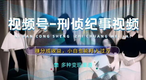 利用刑侦纪实视频，zuan视频号分成计划收益，操作简单，新手小白轻松月入过万【揭秘】